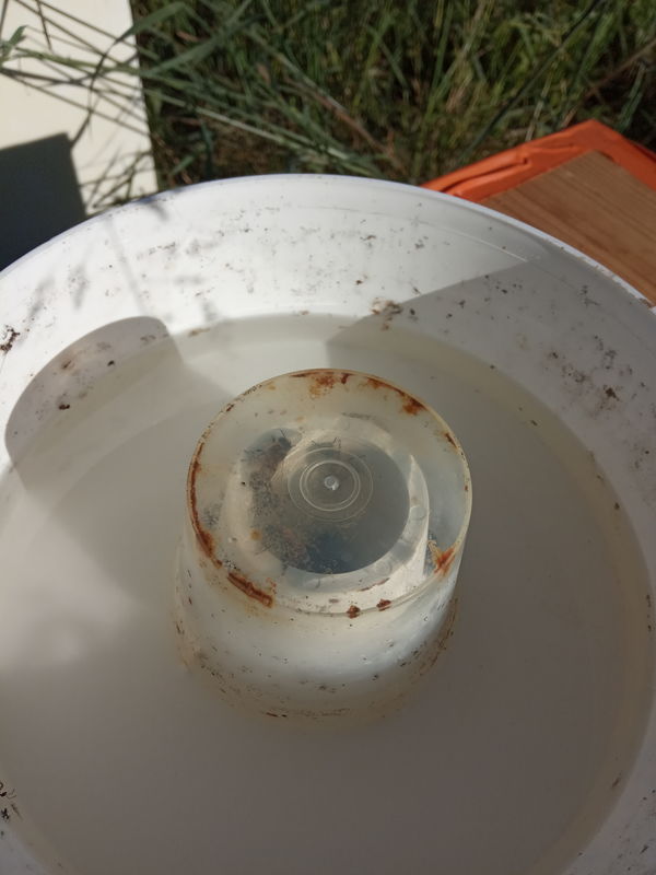 Sirop liquide pour abeilles dans un nourrisseur rond 2 litres