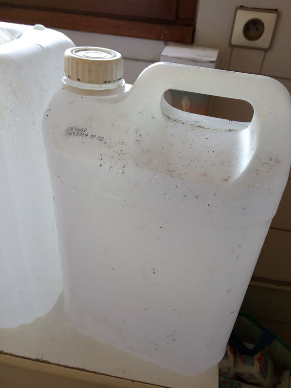 Bidon de 5 litres pour préparer un sirop de sucre pour abeilles