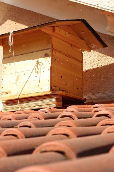 Ruche Dadant 12 cadres avec son toit chalet