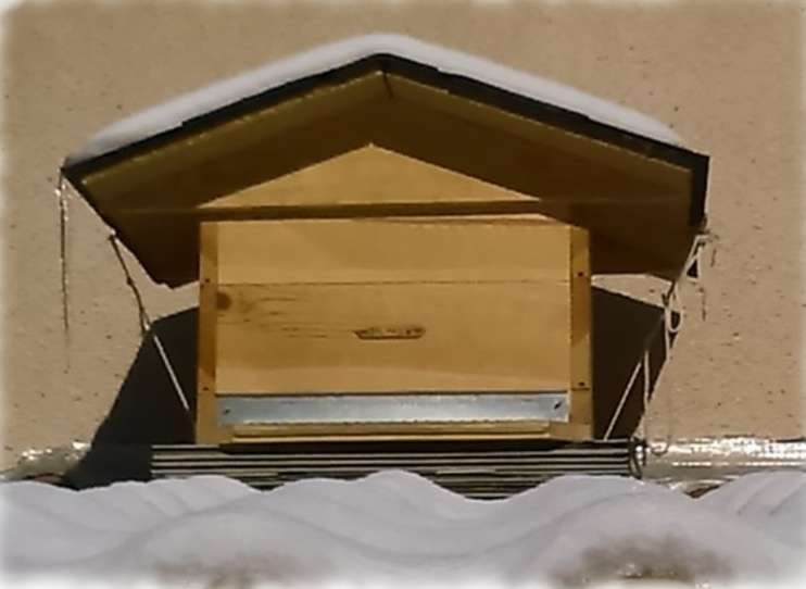 Hivernage des abeilles : ruche Dadant 12 cadres avec un toit chalet